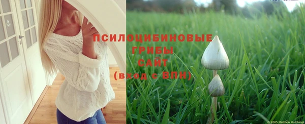 a pvp Бронницы