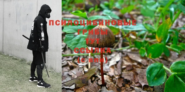 a pvp Бронницы