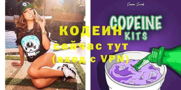 соль ск Бородино