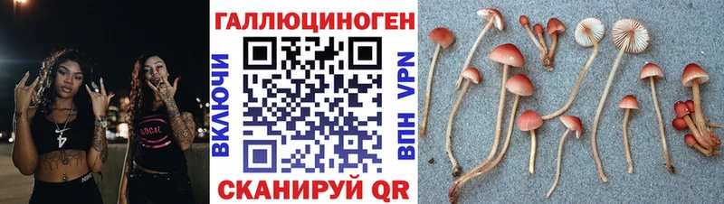 Псилоцибиновые грибы мухоморы Луховицы